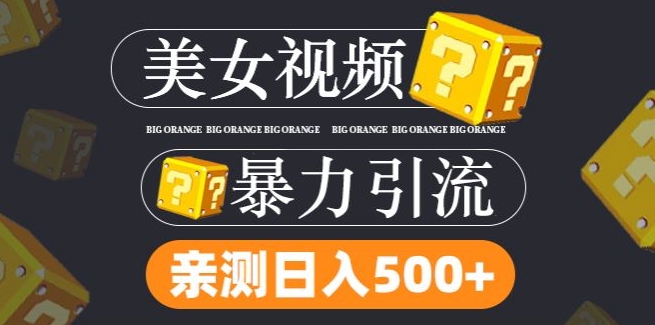 搬运tk美女视频全网分发，日引s粉300+，轻松变现，不限流量不封号-AI学习资源网