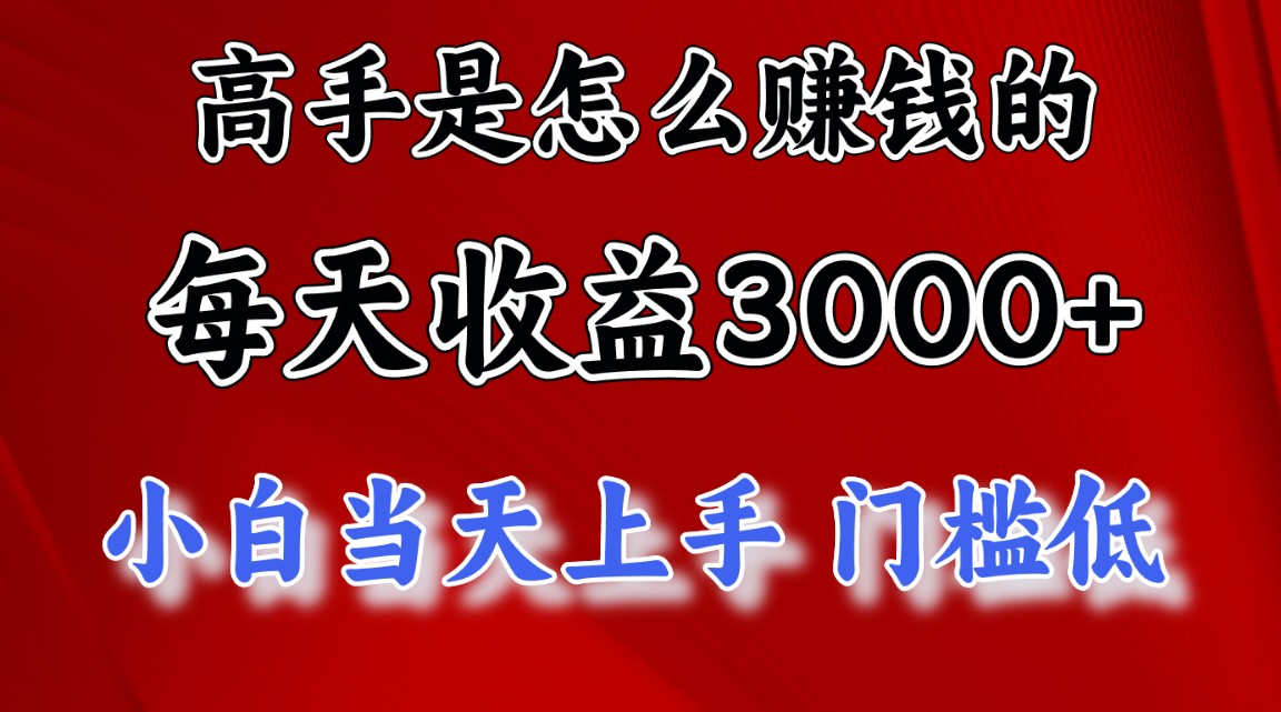 （12144期）1天收益3000+，月收益10万以上，24年8月份爆火项目-AI学习资源网