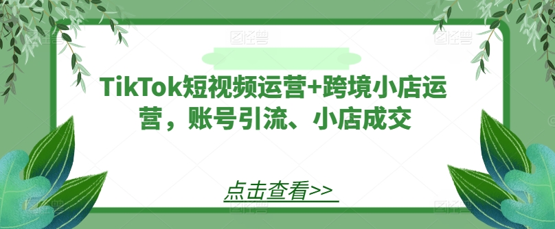 TikTok短视频运营+跨境小店运营，账号引流、小店成交-AI学习资源网