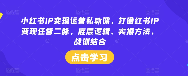 小红书IP变现运营私教课，打通红书IP变现任督二脉，底层逻辑、实操方法、战训结合-AI学习资源网