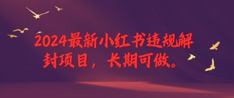 2024最新小红书违规解封项目，长期可做，一个可以做到退休的项目【揭秘】-AI学习资源网