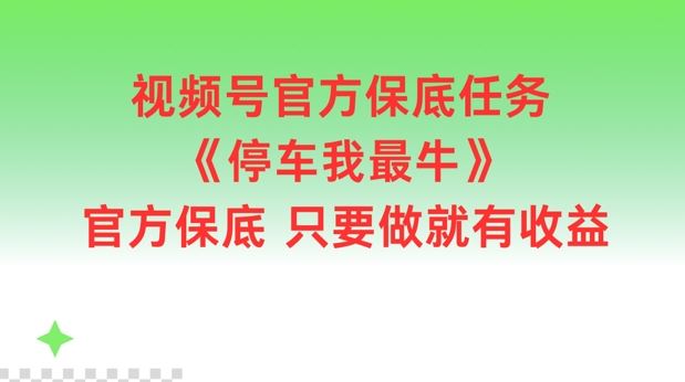 视频号官方保底任务，停车我最牛，官方保底只要做就有收益【揭秘】-AI学习资源网