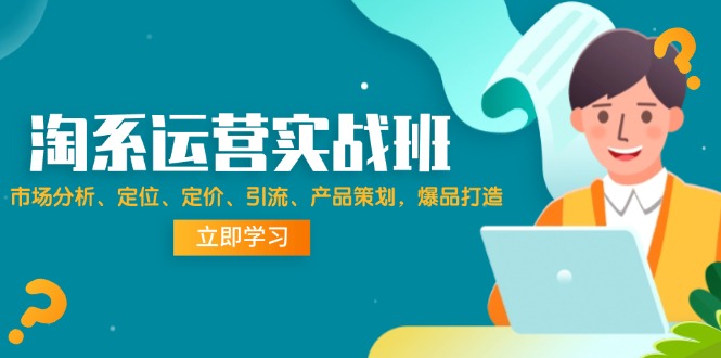 （12186期）淘系运营实战班：市场分析、定位、定价、引流、产品策划，爆品打造-AI学习资源网