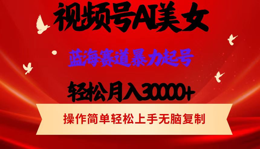 （12178期）视频号AI美女跳舞，轻松月入30000+，蓝海赛道，流量池巨大，起号猛，当…-AI学习资源网