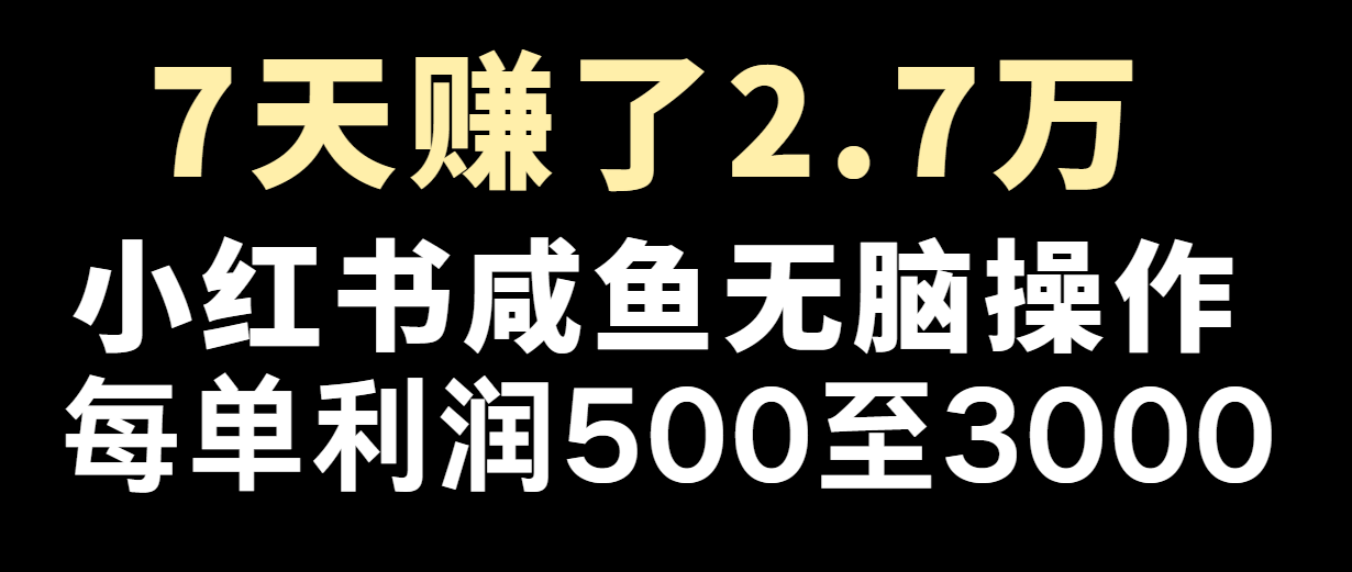 七天赚了2.7万！每单利润最少500+，轻松月入5万+小白有手就行-AI学习资源网