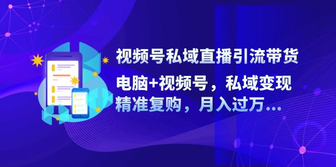 （12249期）视频号私域直播引流带货：电脑+视频号，私域变现，精准复购，月入过万…-AI学习资源网