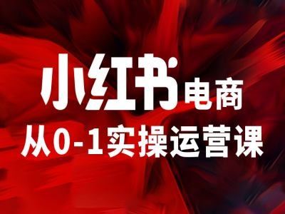 小红书电商从0-1实操运营课，让你从小白到精英-AI学习资源网