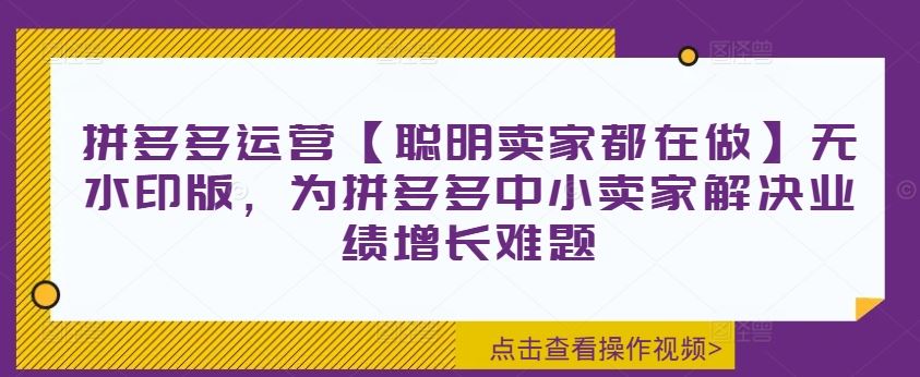 拼多多运营【聪明卖家都在做】无水印版，为拼多多中小卖家解决业绩增长难题-AI学习资源网