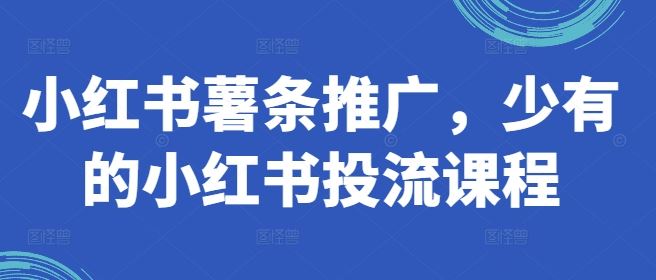 小红书薯条推广，少有的小红书投流课程-AI学习资源网