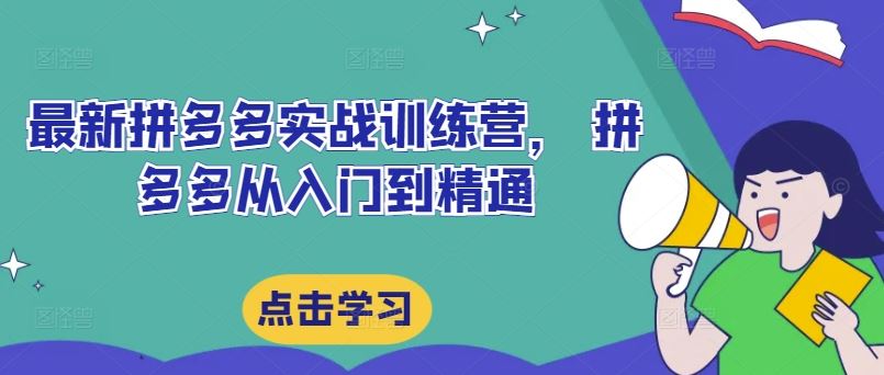 最新拼多多实战训练营， 拼多多从入门到精通-AI学习资源网