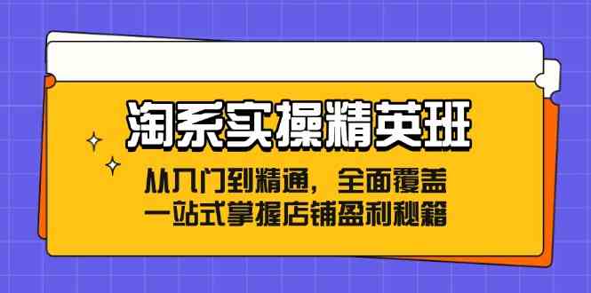 淘系实操精英班：从入门到精通，全面覆盖，一站式掌握店铺盈利秘籍-AI学习资源网