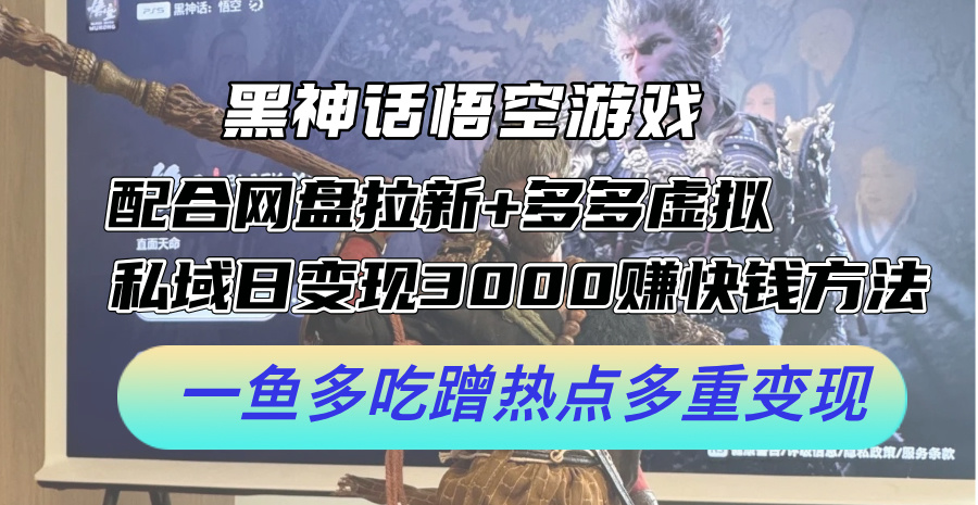 （12316期）黑神话悟空游戏配合网盘拉新+多多虚拟+私域日变现3000+赚快钱方法。…-AI学习资源网