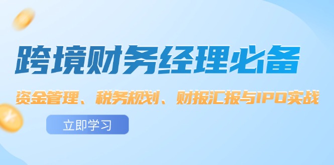 （12323期）跨境 财务经理必备：资金管理、税务规划、财报汇报与IPO实战-AI学习资源网