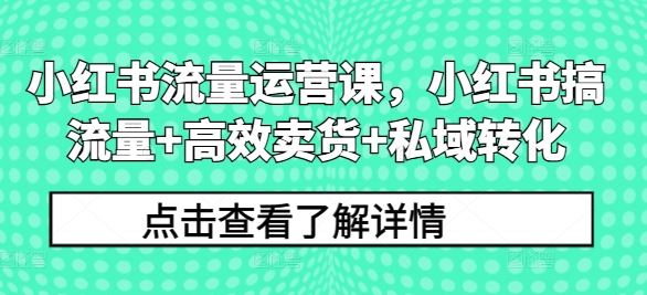 小红书流量运营课，小红书搞流量+高效卖货+私域转化-AI学习资源网