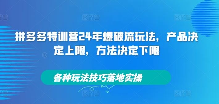 拼多多特训营24年爆破流玩法，产品决定上限，方法决定下限，各种玩法技巧落地实操-AI学习资源网