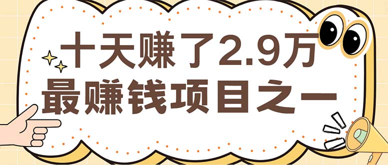 （12491期）闲鱼小红书赚钱项目之一，轻松月入6万+项目-AI学习资源网