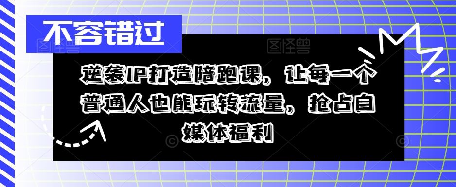 逆袭IP打造陪跑课，让每一个普通人也能玩转流量，抢占自媒体福利-AI学习资源网