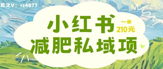 小红书减肥粉，私域变现项目，一单就达210元，小白也能轻松上手【揭秘】-AI学习资源网