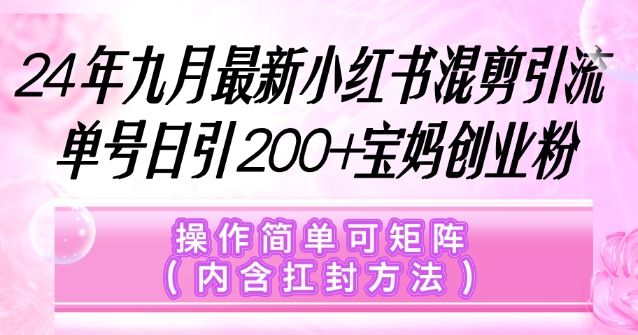 （12530期）小红书混剪引流，单号日引200+宝妈创业粉，操作简单可矩阵（内含扛封…-AI学习资源网