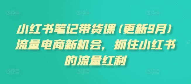 小红书笔记带货课(更新9月)流量电商新机会，抓住小红书的流量红利-AI学习资源网