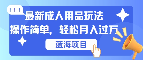 最新成人用品项目玩法，操作简单，动动手，轻松日入几张【揭秘】-AI学习资源网