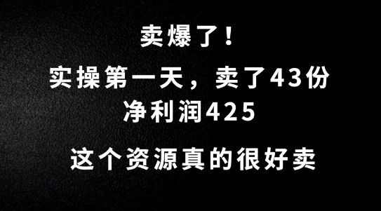 这个资源，需求很大，实操第一天卖了43份，净利润425【揭秘】-AI学习资源网