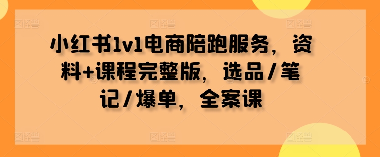 小红书1v1电商陪跑服务，资料+课程完整版，选品/笔记/爆单，全案课-AI学习资源网