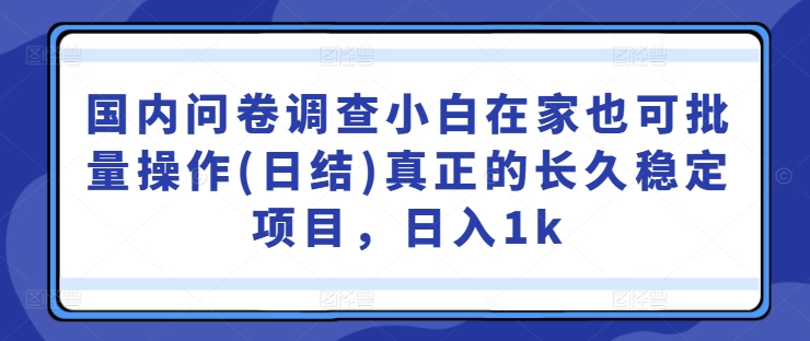 国内问卷调查小白在家也可批量操作(日结)真正的长久稳定项目，日入1k【揭秘】-AI学习资源网