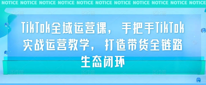 TikTok全域运营课，手把手TikTok实战运营教学，打造带货全链路生态闭环-AI学习资源网