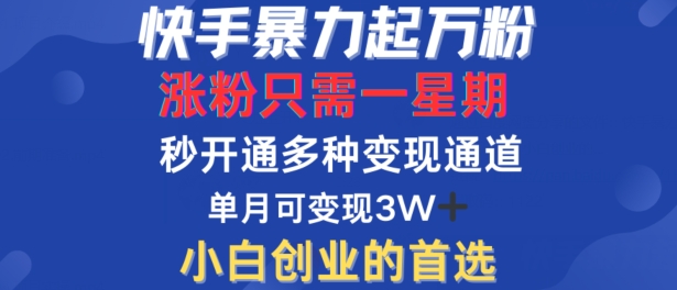 快手暴力起万粉，涨粉只需一星期，多种变现模式，直接秒开万合，单月变现过W【揭秘】-AI学习资源网