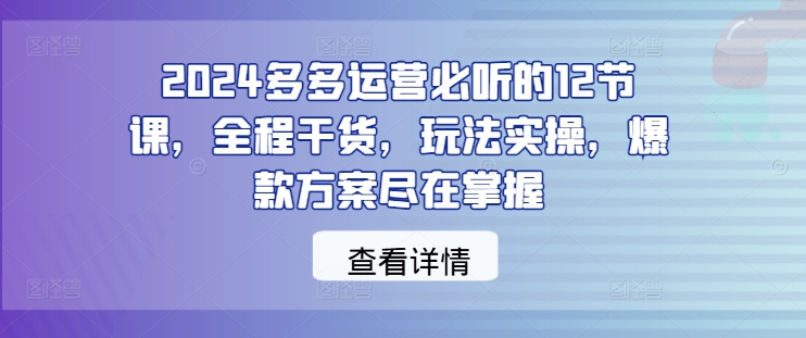 2024多多运营必听的12节课，全程干货，玩法实操，爆款方案尽在掌握-AI学习资源网