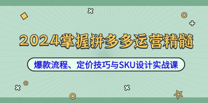 2024掌握拼多多运营精髓：爆款流程、定价技巧与SKU设计实战课-AI学习资源网