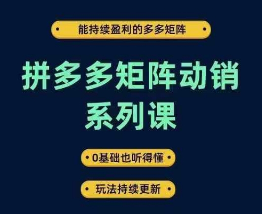 拼多多矩阵动销系列课，能持续盈利的多多矩阵，0基础也听得懂，玩法持续更新-AI学习资源网