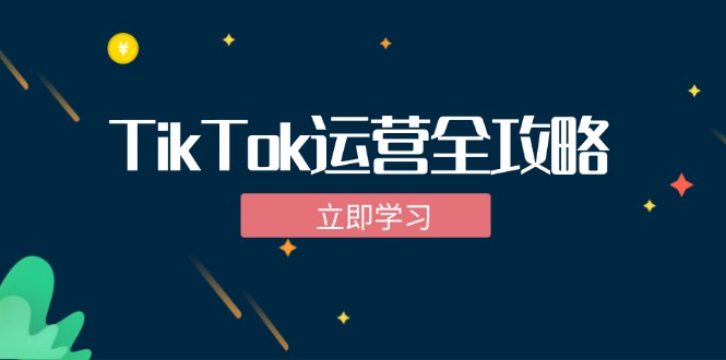 TikTok实战运营全攻略：从下载软件到变现，抖音海外版实操教程-AI学习资源网