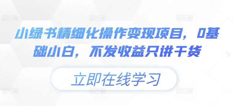 小绿书精细化操作变现项目，0基础小白，不发收益只讲干货-AI学习资源网