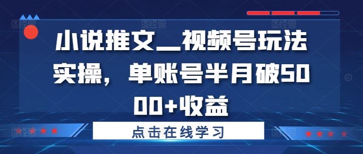 小说推文—视频号玩法实操，单账号半月破5000+收益-AI学习资源网