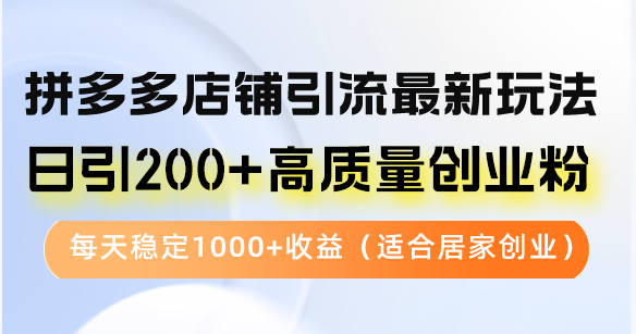 （12893期）拼多多店铺引流最新玩法，日引200+高质量创业粉，每天稳定1000+收益（…-AI学习资源网