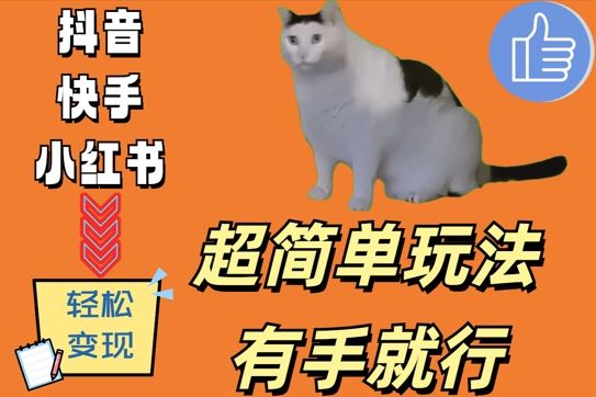 超简单玩法，有手就行，靠猫咪视频日入500+【揭秘】-AI学习资源网