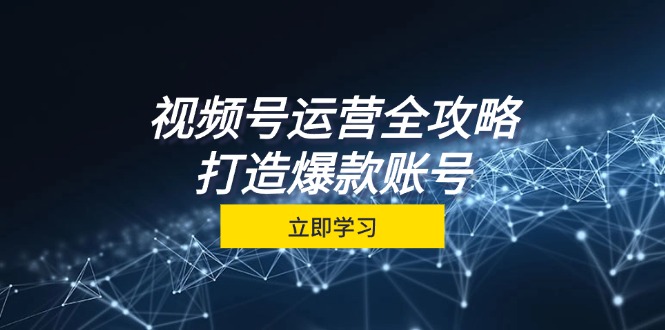 视频号运营全攻略，从定位到成交一站式学习，视频号核心秘诀，打造爆款账号-AI学习资源网