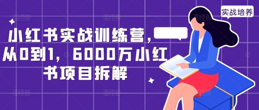 小红书实战训练营，从0到1，6000万小红书项目拆解-AI学习资源网