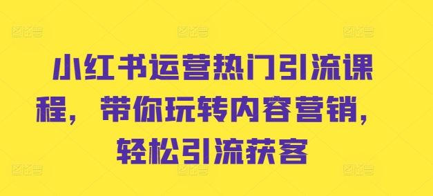 小红书运营热门引流课程，带你玩转内容营销，轻松引流获客-AI学习资源网