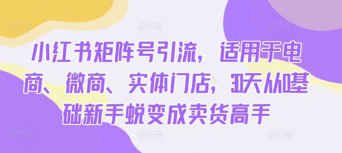 小红书矩阵号引流，适用于电商、微商、实体门店，30天从0基础新手蜕变成卖货高手-AI学习资源网