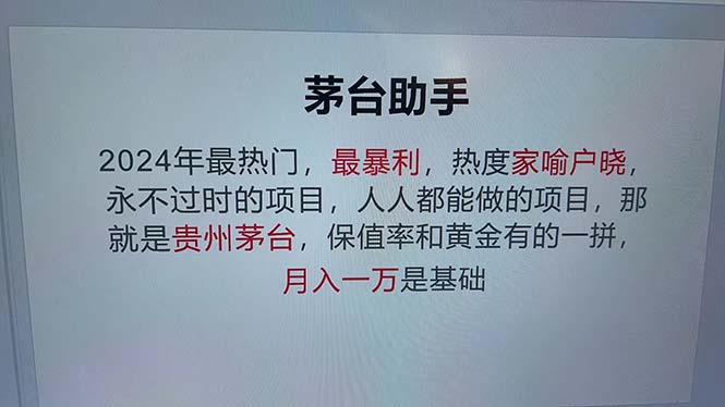 （12990期）魔法贵州茅台代理，永不淘汰的项目，抛开传统玩法，使用科技，命中率极…-AI学习资源网