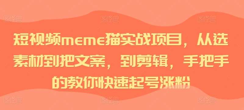 短视频meme猫实战项目，从选素材到把文案，到剪辑，手把手的教你快速起号涨粉-AI学习资源网