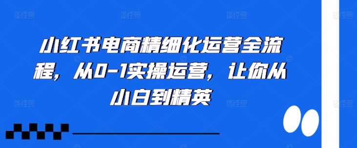 小红书电商精细化运营全流程，从0-1实操运营，让你从小白到精英-AI学习资源网