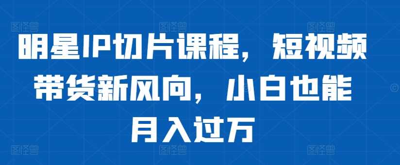 明星IP切片课程，短视频带货新风向，小白也能月入过万-AI学习资源网