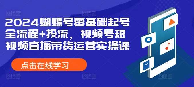 2024蝴蝶号零基础起号全流程+投流，视频号短视频直播带货运营实操课-AI学习资源网