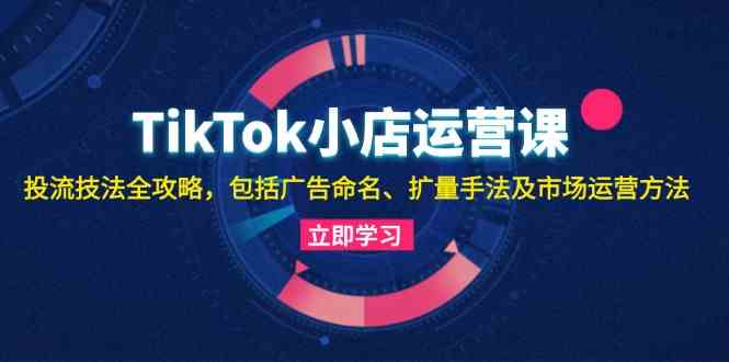 TikTok小店运营课：投流技法全攻略，包括广告命名 扩量手法及市场运营方法-AI学习资源网