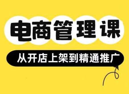 小红书&闲鱼开店从开店上架到精通推广，电商管理课-AI学习资源网