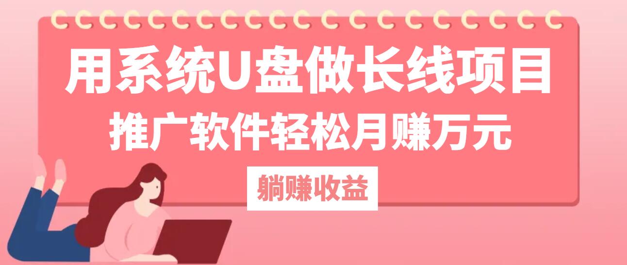 用系统U盘做长线项目，推广软件轻松月赚万元-AI学习资源网